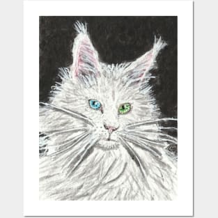 White  cat  blue  and green eye art Posters and Art